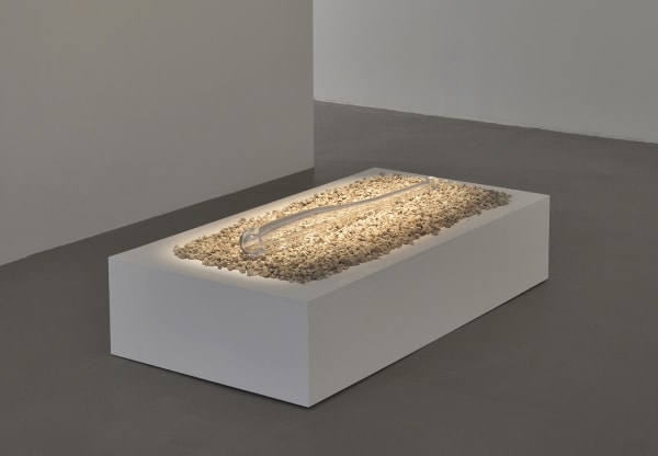 Bianca Argimón, We Shall Overcome