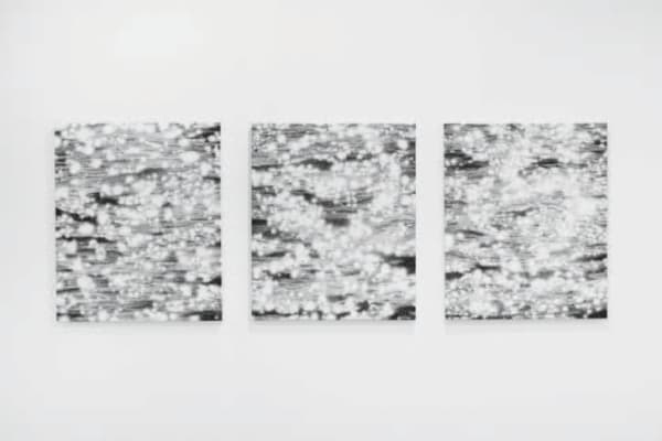 Jérémie Cosimi, Sacré VI, VII, VIII, 2021