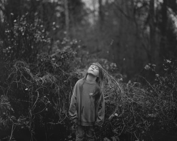 Nelli Palomäki, 15th of November (Susi, last light), 2020