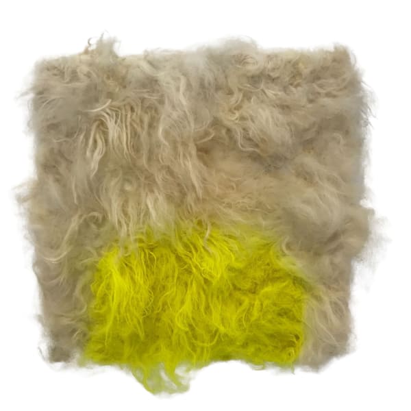 Brigitta Varadi Rustling 1- Sheep Farmer Elaine J. Davis, Hebron, NY,, 2021 Raw Icelandic Sheep Wool, Merino Wool, Silk Gauze, Livestock marking paint - fluorescent Yellow 55.9 x 55.9 cm