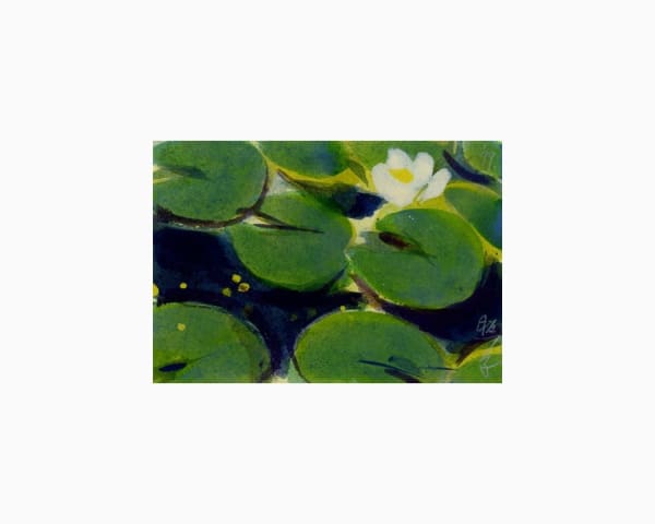 Teruko Yokoi, Ohne Titel (Japanese Diary - Water Lily), 1999