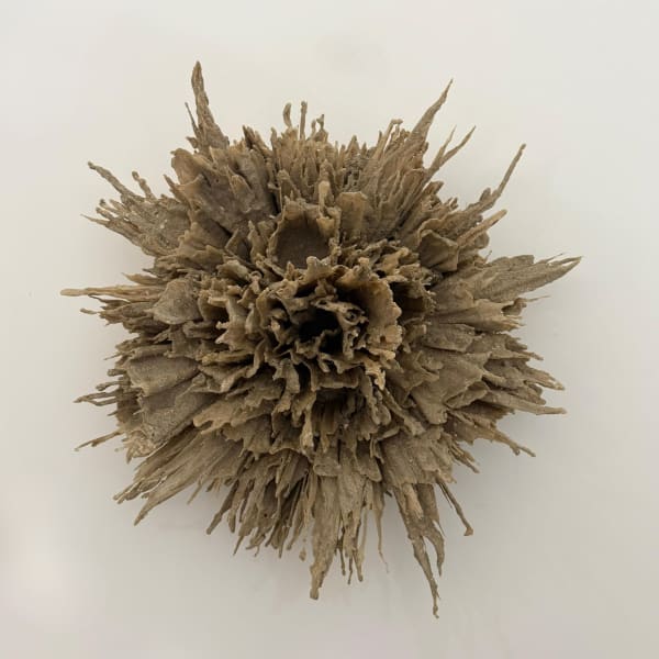 Yousra Wahba, Firing Memory , 2025