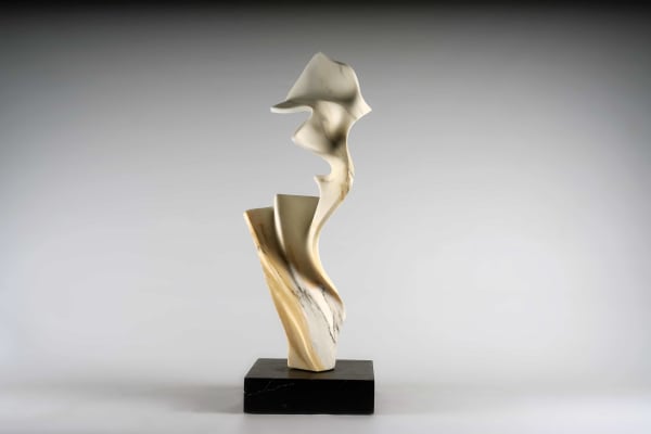 Sylvestre Gauvrit, Feel like dancing , 2021