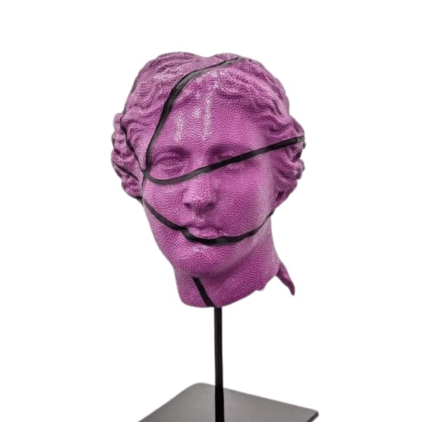 Laurent Perbos, Anti-Basket Ball