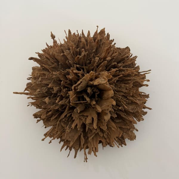 Yousra Wahba, Firing Memory , 2025