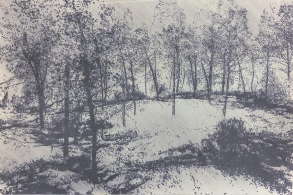 Sawsan Al Bahar, Forest fire, 2022