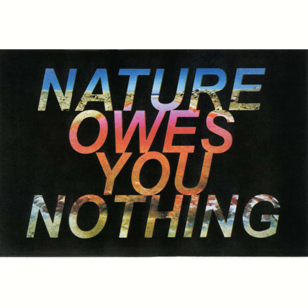 Rachel Libeskind, Nature Owes You Nothing , 2021