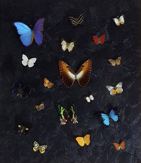 Eltjon Valle, La Vie est un Papillon, 2021