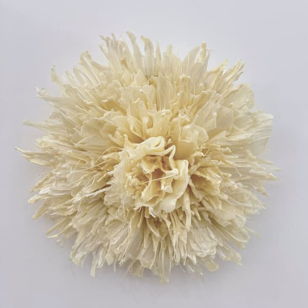 Yousra Wahba, Firing Memory , 2025