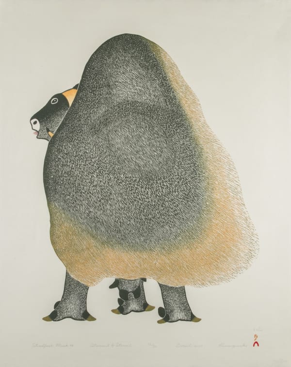 Lot 22 KANANGINAK POOTOOGOOK, R.C.A. (1935-2010) KINNGAIT (CAPE DORSET) Steadfast Muskox, 2005 #6 stonecut and stencil on natural coloured paper, 24.25 x 19.5 in (61.6 x 49.5 cm) ESTIMATE: $1,200 — $1,800 PRICE REALIZED: $1,586.00