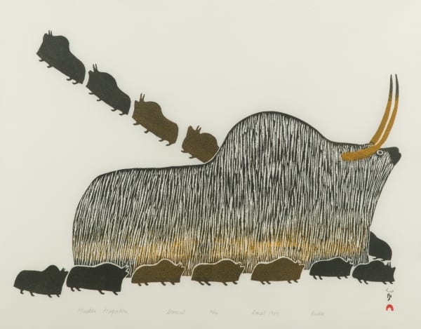 Lot 51 PUDLO PUDLAT (1916-1992) KINNGAIT (CAPE DORSET) Muskox Migration, 1989 #25 stonecut and stencil, 18 x 23 in (45.7 x 58.4 cm) ESTIMATE: $400 — $600 PRICE REALIZED: $536.80