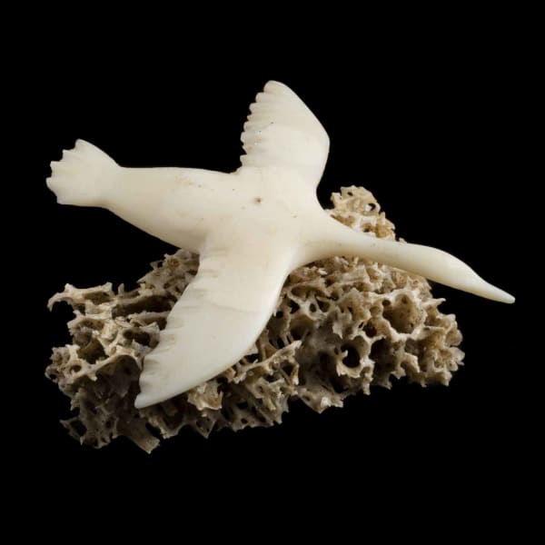 Flying Bird
