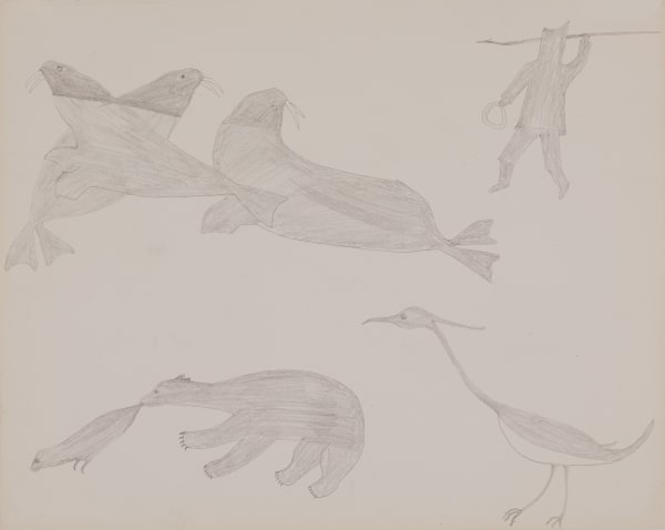 SHEOUAK PETAULASSIE (1918-1961) KINNGAIT (CAPE DORSET) Hunter Approaching a Herd of Walrus, Bear with Captured Seal, and Bird, c. 1960 graphite on wove paper, 16.5 x 21 in (41.9 x 53.3 cm)