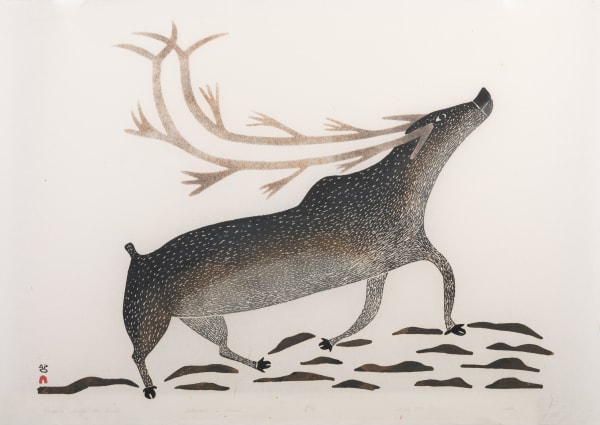 Lot 18 PUDLO PUDLAT (1916-1992) KINNGAIT (CAPE DORSET) Pangniq Sniffs the Wind, 1984 #42 stonecut and stencil, 24 x 35 in (61 x 88.9 cm) ESTIMATE: $400 — $600 PRICE REALIZED: $408.00