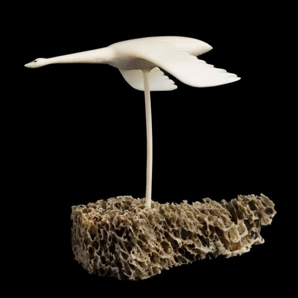 Flying Bird