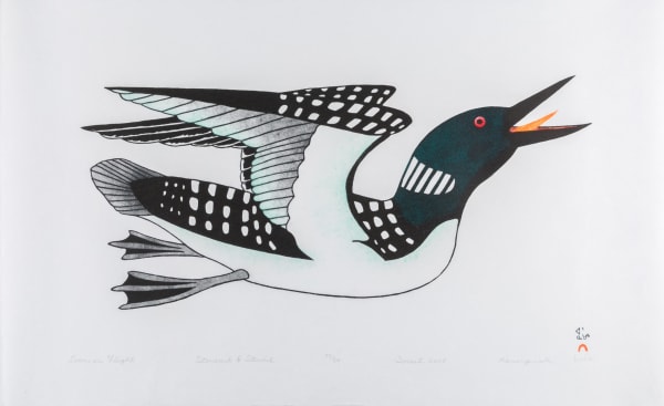 Lot 29 KANANGINAK POOTOOGOOK, R.C.A. (1935-2010) KINNGAIT (CAPE DORSET) Loon in Flight, 2008 #9 stonecut and stencil, 15 x 24.5 in (38.1 x 62.2 cm) ESTIMATE: $400 — $600 PRICE REALIZED: $414.80