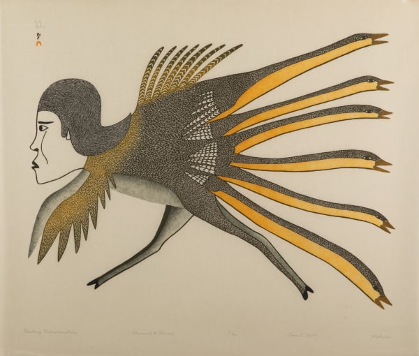 Fleeting Transformation