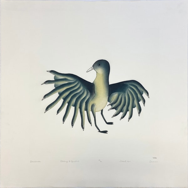 Lot 5 QAVAVAU MANUMIE (1958-) KINNGAIT (CAPE DORSET) Shorebird, 2011 #29 etching and aquatint, sheet: 69.75 x 71 in (177 x 180.3 cm) ESTIMATE: $400 — $600 PRICE REALIZED: $366.00