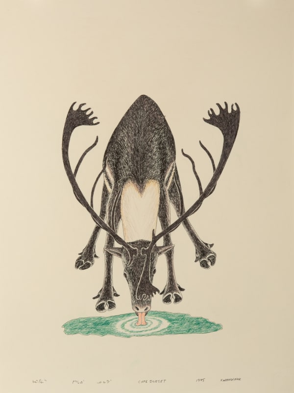 KANANGINAK POOTOOGOOK, R.C.A. (1935-2010) KINNGAIT (CAPE DORSET) Untitled (Caribou Lapping Water), 1995 graphite, coloured pencil and ink on paper, 20 x 26 in (50.8 x 66 cm)
