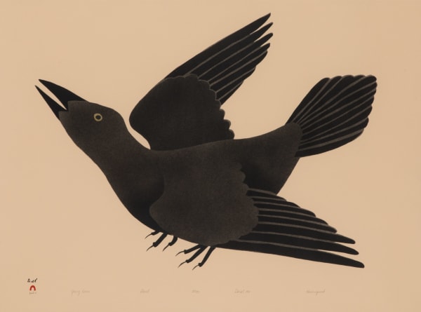 Lot 9 KANANGINAK POOTOOGOOK, R.C.A. (1935-2010) KINNGAIT (CAPE DORSET) Young Raven, 1991 #5 stencil, 22 x 29.5 in (55.9 x 74.9 cm) ESTIMATE: $800 — $1,200