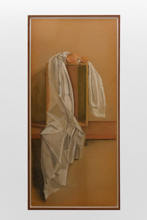 Aimée Moreau, 5. Oignons et drapé blanc, circa 1980