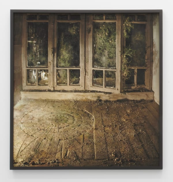 Cypress Night (2), 2019