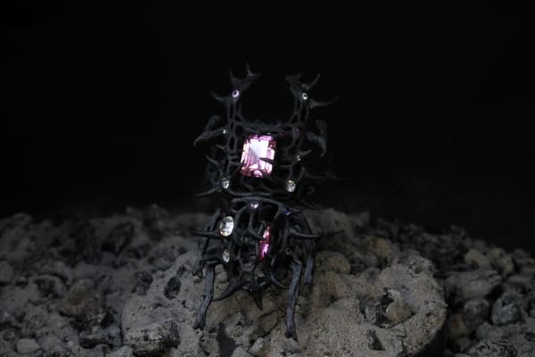 Elsa Wagnières, MicroPhénix 2 - Scarabbis Rose, 2025