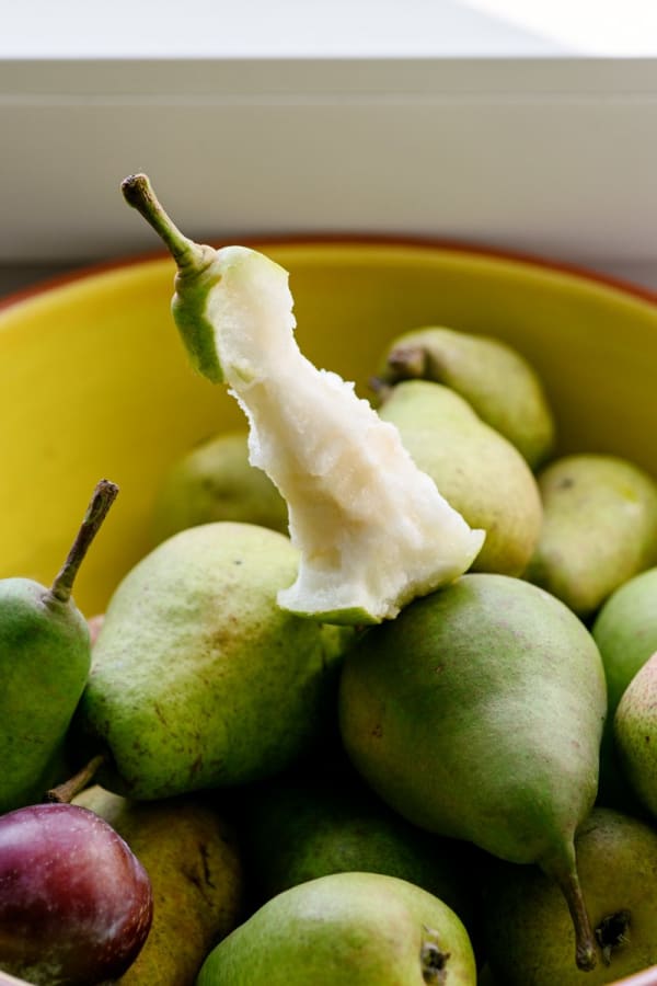 Gian Losinger, Your Latest Trick, 2021