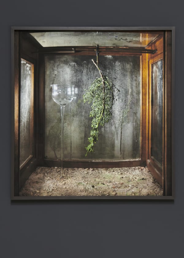Camera Obscura, 2019