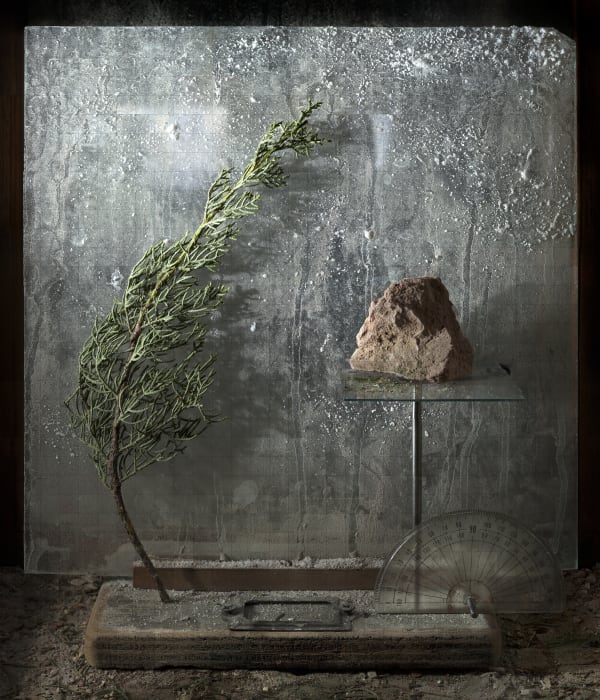 Salt Plate, 2019