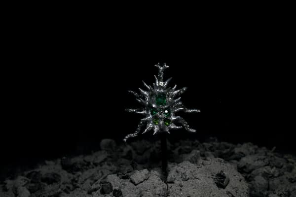 Elsa Wagnières, Coleoptera Terbiumidae 5 - Vert, 2024-2025