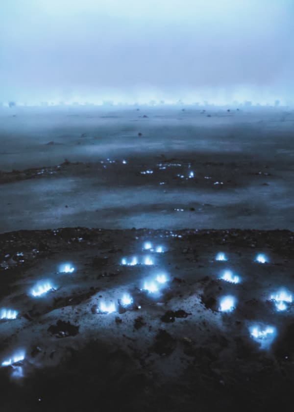 Elsa Wagnières, Là où rien ne devait pousser 3, 2025