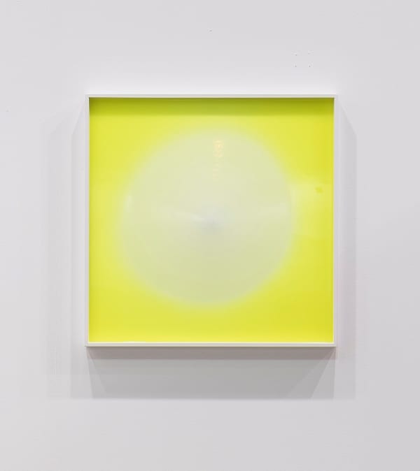 Menthol Yellow Plus, 2022