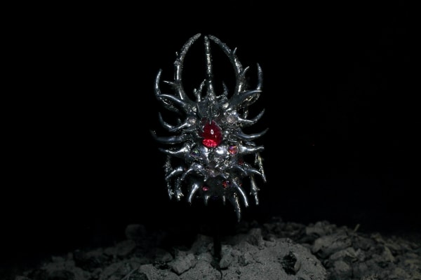 Elsa Wagnières, Coleoptera Terbiumidae 2 - Rose, 2024-2025