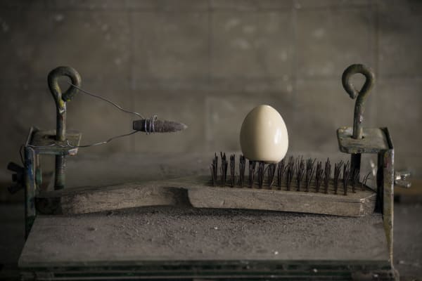 Surprise, Egg, 2016