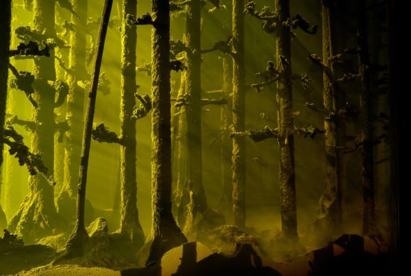 Mariele Neudecker, And Then the World Changed Colour: Breathing Yellow (Still), 2020