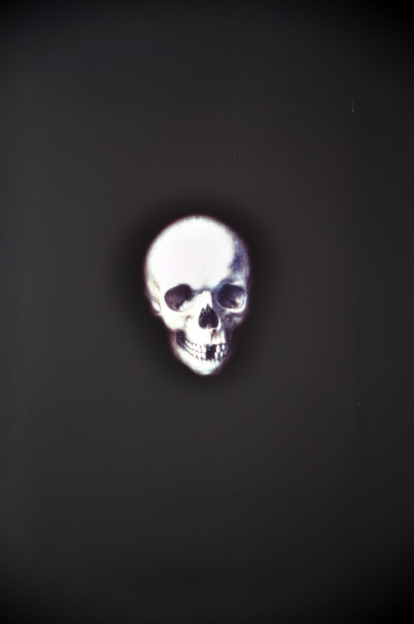 Rob and Nick Carter, Memento Mori, 2013