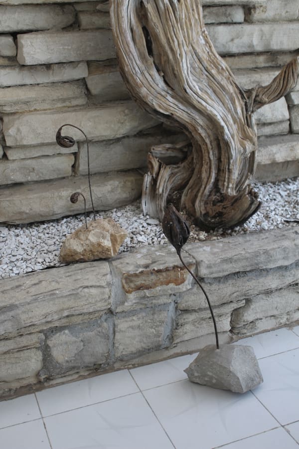 Dania González, Jardín, 2017