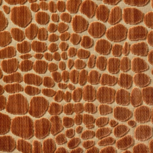 Armadillo Deep Honey