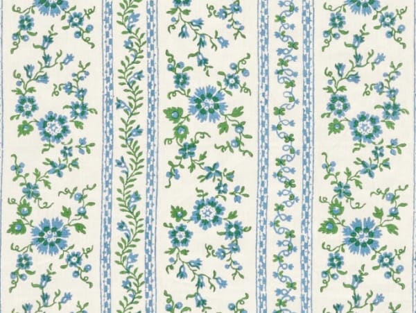 Rampacanti Meconopsis