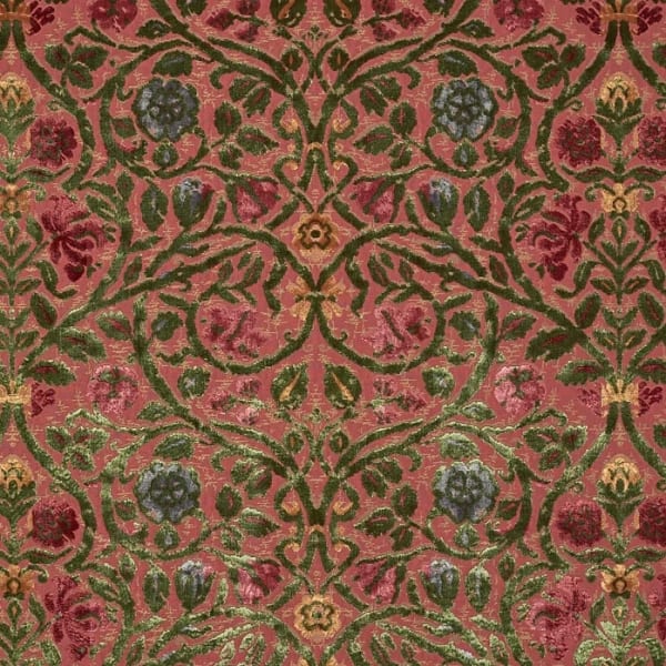 Isla Anne Boleyn Rose