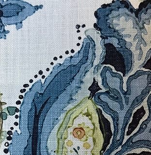 Abbotsford Kingfisher