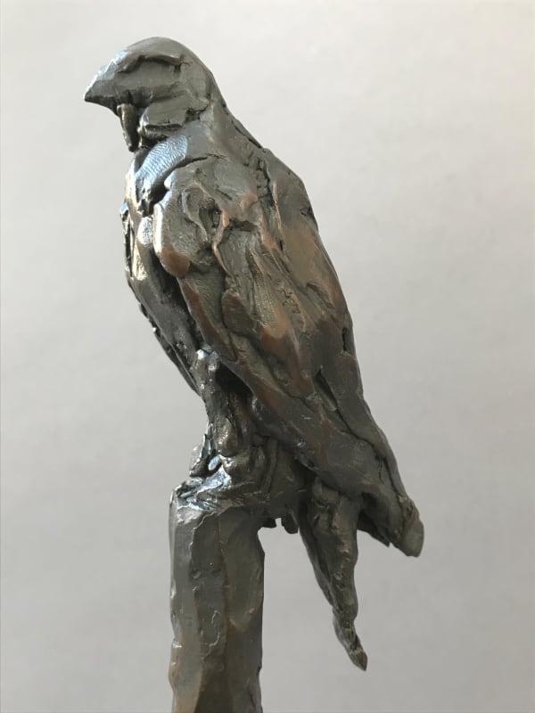David Williams Ellis Falcon VI