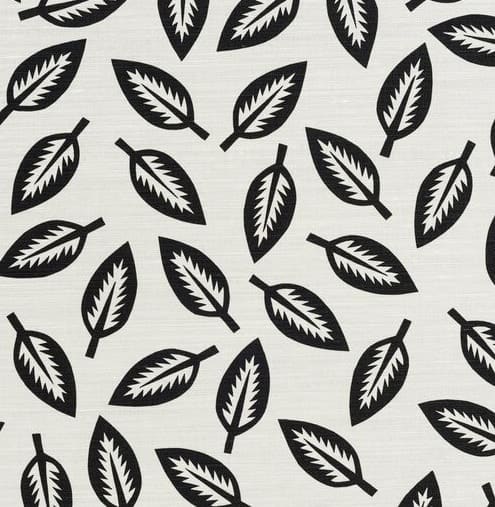 Leaf Cutter Charcoal On Oyster