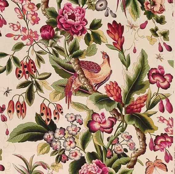 Pheasans Canvas Pink Multicolor