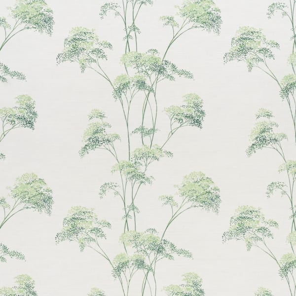 Meadowsweet Greens On Oyster