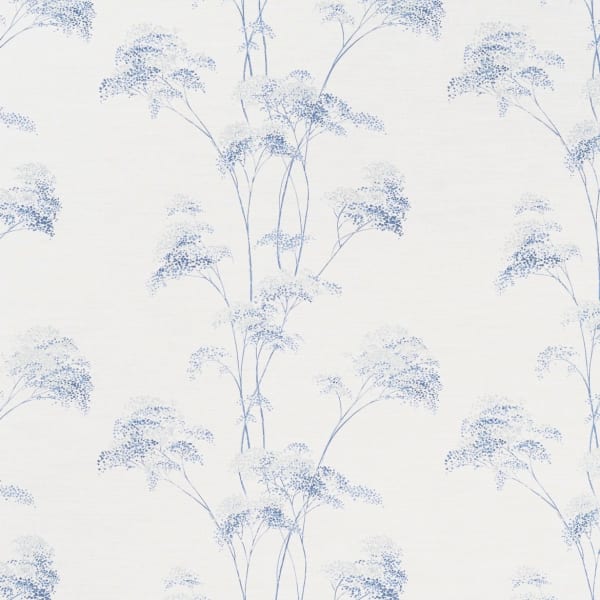 Meadowsweet Blues On Oyster