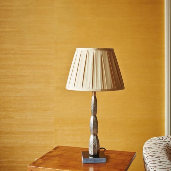 Claudio Gonzalez Lampe Turri