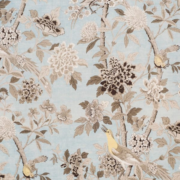 Songbird Blue Yellow On Oyster