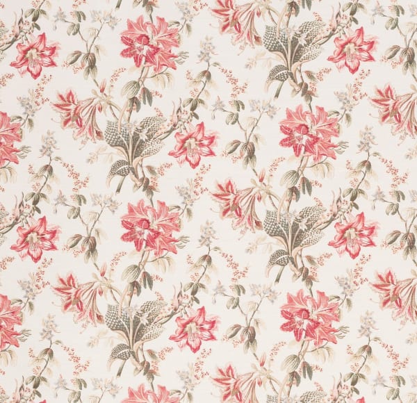 Orchid Lily Pink Green On Oyster